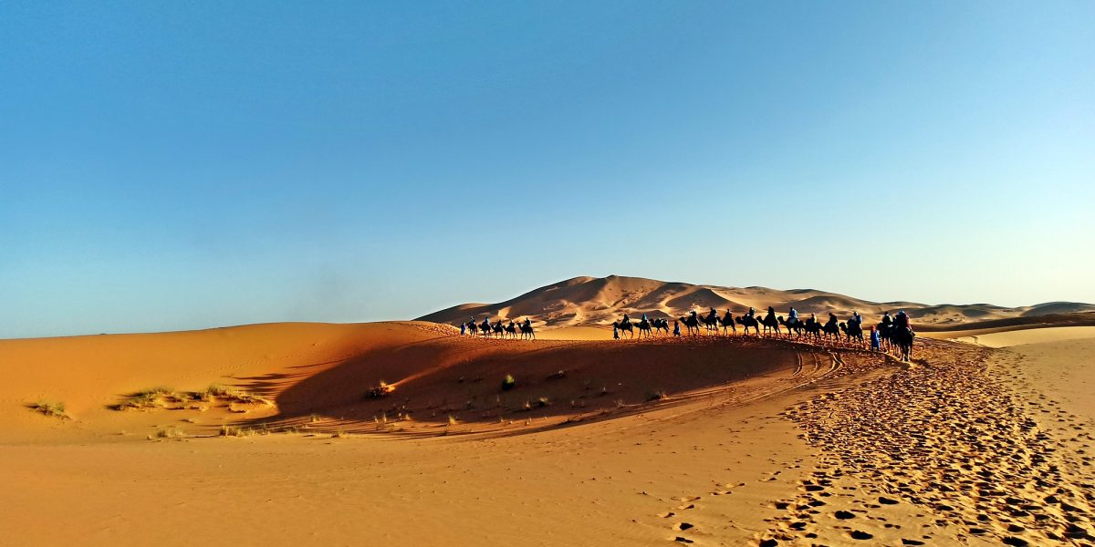 Camel Ride in Morocco desert